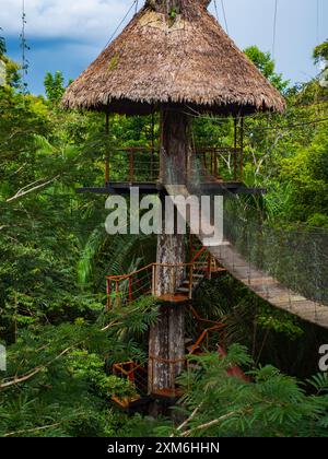 Alloggi glamping nella foresta pluviale Amazzonica. Treehouse in legno, Foresta pluviale Amazzonica, Amazzonia, Pacaya Samiria National Reserve, Perù, Sud America. Foto Stock