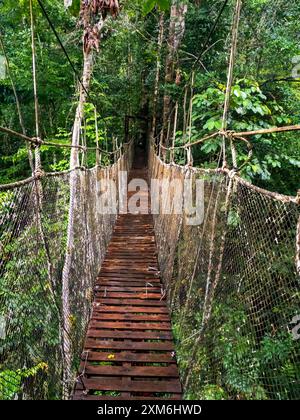 Sentiero con tettoia per il parco naturale Amazon. Ponte a baldacchino per i turisti nel Parco Naturale Amazzonia, Río Marañon, Nauta, Perù. Foto Stock