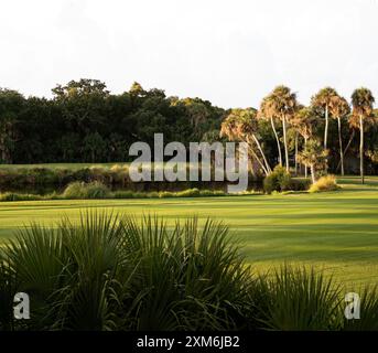 Tramonto sul campo da golf del South Carolina Foto Stock