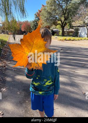 Ragazzo che tiene in mano una grande foglia d'autunno mentre è fuori a fare una passeggiata. Foto Stock