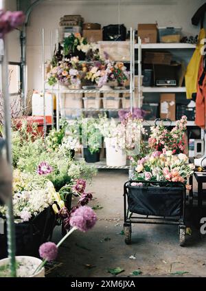 Interni di un negozio di fiori con varie composizioni floreali e forniture Foto Stock