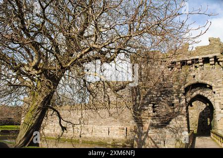 Castello di Beaumaris, Anglesey, galles, con vista sulla catena montuosa di Snowdonia Foto Stock