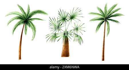 Set di palme verdi. Palme da cocco. Illustrazione della giungla floreale disegnata a mano ad acquerello isolata sullo sfondo. Per progettisti, cartoline, gre Foto Stock