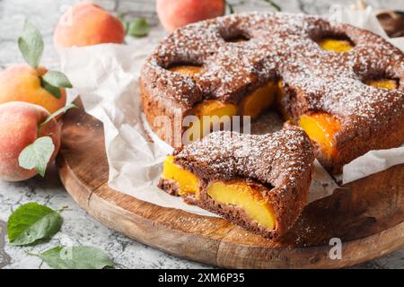 Delizioso brownie di pesca al cacao o torta di spugne di pesca al cioccolato primo piano su un tavolo di legno. Orizzontale Foto Stock