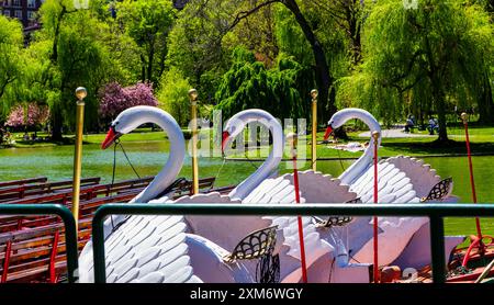Boston, Massachusetts, Stati Uniti - 7 maggio 2024: Primo piano di tre Swan Boats vuote schierate sulla laguna in un giorno di primavera nel Boston Public Garden. Selez Foto Stock