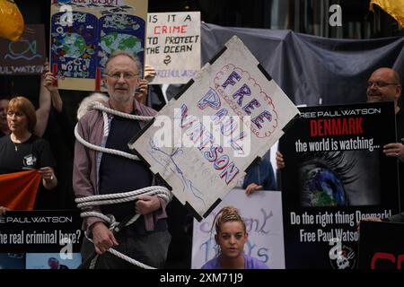 La gente partecipa a una protesta fuori dall'ambasciata danese a Dublino che chiede il rilascio del veterano attivista ambientalista e attivista anti-baleniera Paul Watson, che è stato arrestato a Nuuk, in Groenlandia, per un mandato di arresto internazionale emesso dal Giappone. Data foto: Venerdì 26 luglio 2024. Foto Stock