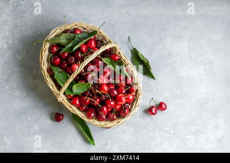 Ciliegie rosse biologiche mature fresche in un cesto, un sacco di frutta estiva Foto Stock