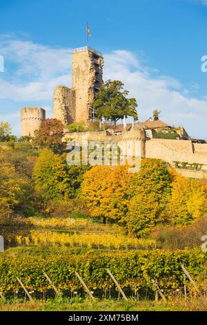 Wachtenburg in autunno, Wachenheim an der Weinstraße, Renania-Palatinato, Germania Foto Stock