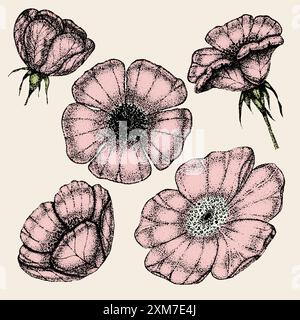 Collezione di fiori d'annata, foglie e bacche di rosa selvatica. Rose hip disegnato a mano, schizzi, stile pointillism. Illustrazione Vettoriale