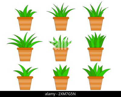 Piante al coperto in pentola in stile minimalista. Set di icone di piante da interno in una pentola isolata su sfondo bianco. Fiori verdi in vaso wi Illustrazione Vettoriale