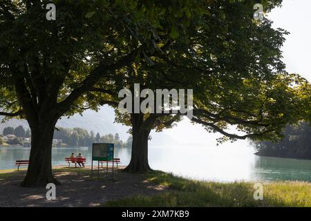 Due uomini seduti pacificamente su una panchina al lago Walen (villaggio di Weesen) in Svizzera Foto Stock