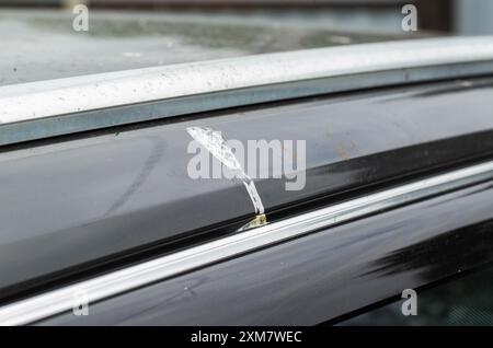 Escrementi di uccelli sulla vernice di un'auto grigia. Concetto di corrosione della vernice, danni, industria Foto Stock