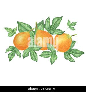 L'acquerello dolce granadilla presenta una composizione dettagliata di tre frutti e foglie. Illustrazione di Maracuja adatta per blog, scrapbooking, design di menu e altre attività creative Foto Stock