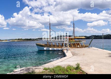 Tour in barca di Delfin a bordo di una barca di legno verso destinazioni popolari della costa occidentale istriana, Rovigno, Croazia, Europa Foto Stock