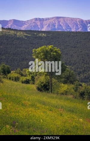 Paesaggio panoramico che presenta la catena montuosa del Cadi come si vede da la Cerdanya, Catalogna. Una scena pittoresca con vegetazione lussureggiante e la bellezza naturale Foto Stock