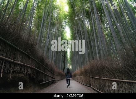 Ragazza che cammina attraverso la foresta giapponese di bambù Zen di Arashiyama a Kyoto, Giappone Foto Stock