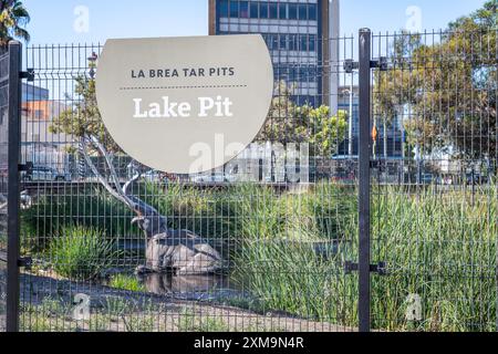 Los Angeles, CA, Stati Uniti: 26 luglio 2024: The Lake Pit at the la Brea Tar Pits mostra la ricreazione di un mammut intrappolato a Tar, Los Angeles, CA. Foto Stock