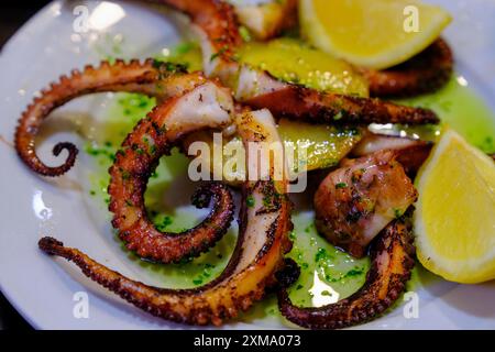 Polpo, tapas in un bar, cibo, Barcellona, Catalogna, Spagna Foto Stock