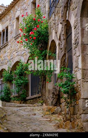 Vila Vella, città vecchia, Tossa de Mar, Costa Brava, Catalogna, Spagna Foto Stock