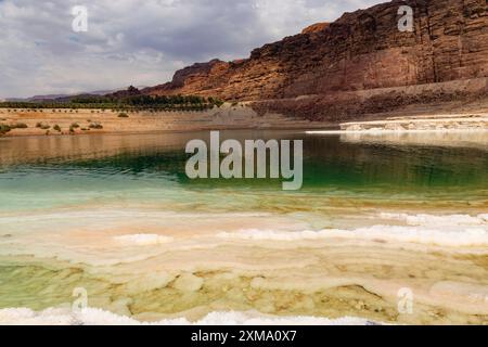 Formazioni saline sulle rive del Mar morto, Giordania Foto Stock