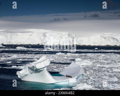 La foca di Weddell (Leptonychotes weddellii) è appoggiata su un pavimento di ghiaccio nel canale di Lemaire al largo della Terra di Graham, dell'arcipelago di Wilhelm, in Antartide Foto Stock