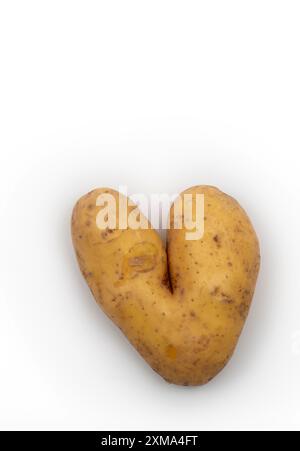 Patata a forma di cuore, cuore, foto in studio, Stoccarda, Baden-Wuerttemberg, Germania Foto Stock