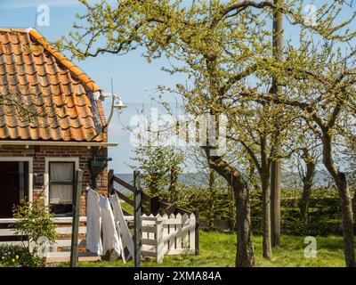 Casa in mattoni rossi con tegole, albero, clothesline e giardino di fronte a un cielo blu, enkhuizen, paesi bassi Foto Stock