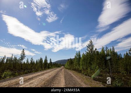 Strada di campagna, strada sterrata, Haerjedalen, Svezia Foto Stock