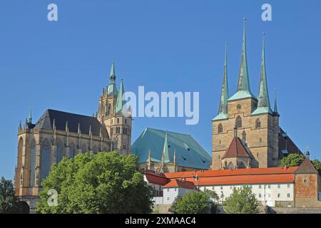 Cattedrale gotica e chiesa gotica di San Severo, monumento storico, San Severo, Chiesa di Santa Maria, Cattedrale di Erfurt, Piazza della Cattedrale, Erfurt Foto Stock