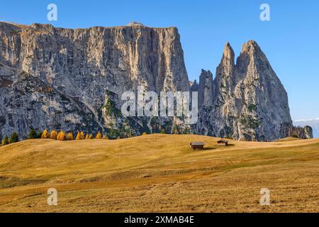 Rifugi di fronte allo Sciliar in autunno, cielo azzurro, Dolomiti, Alpe di Siusi, alto Adige Foto Stock