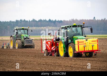 Le prime patate vengono collocate nel terreno del campo con una macchina per la semina, Agricoltura, Primavera Foto Stock