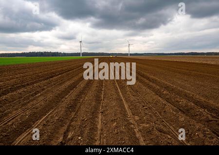 Le prime patate vengono collocate nel terreno del campo con una macchina per la semina, Agricoltura, Primavera Foto Stock