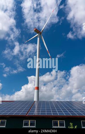 Parco eolico a sud-ovest di Lichtenau, Westfalia orientale-Lippe, impianto solare su un edificio agricolo, stabile, Renania settentrionale-Vestfalia, Germania Foto Stock