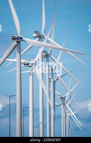 Parco eolico sul Nordzeeweg, su un lungo tratto di terra tra il Maas e il Calandkanaal nel porto Europoort di Rotterdam, Paesi Bassi Foto Stock