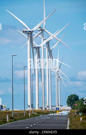 Parco eolico sul Nordzeeweg, su un lungo tratto di terra tra il Maas e il Calandkanaal nel porto Europoort di Rotterdam, Paesi Bassi Foto Stock