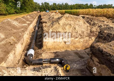 Posa di tubi di teleriscaldamento, accanto a un campo, con mais, il teleriscaldamento proviene da un impianto di biogas e viene alimentato direttamente nelle abitazioni domestiche Foto Stock