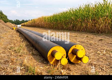 Posa di tubi di teleriscaldamento, accanto a un campo, con mais, il teleriscaldamento proviene da un impianto di biogas e viene alimentato direttamente nelle abitazioni domestiche Foto Stock