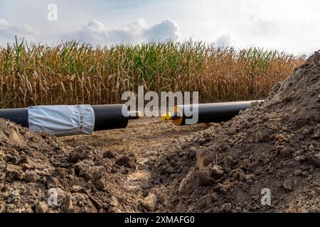 Posa di tubi di teleriscaldamento, accanto a un campo, con mais, il teleriscaldamento proviene da un impianto di biogas e viene alimentato direttamente nelle abitazioni domestiche Foto Stock