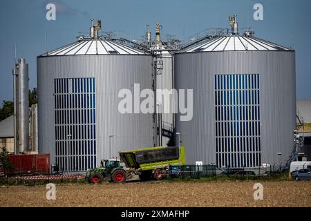 Impianto di biogas RWE Bergheim-Paffendorf, dove si coltivano colture provenienti da agricoltura regionale, piante intere, erba e insilato di mais, segale verde, barbabietola da zucchero e erba medica Foto Stock