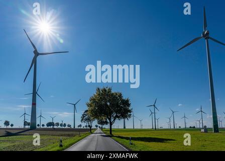 Parco eolico vicino a Lichtenau, turbine eoliche, cielo, vento, sole, Renania settentrionale-Vestfalia, Germania Foto Stock