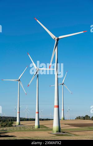 Parco eolico vicino a Lichtenau, turbine eoliche, Renania settentrionale-Vestfalia, Germania Foto Stock