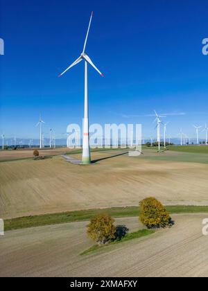 Parco eolico vicino a Lichtenau, turbine eoliche, Renania settentrionale-Vestfalia, Germania Foto Stock