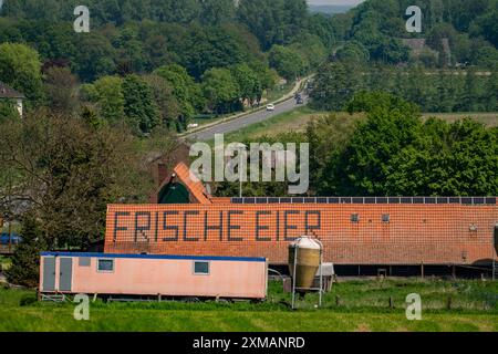 Azienda agricola vicino a Xanten, vende uova fresche dalla fattoria, negozio, Hoehnshof, pubblicità sul tetto di ciottoli rossi, Renania settentrionale-Vestfalia, Germania Foto Stock