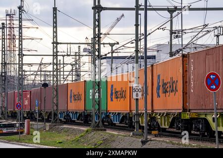 Porto di Amburgo, movimentazione container, linea ferroviaria al terminal container Burchardkai, trasporto ferroviario da e per il porto di Amburgo Germania Foto Stock