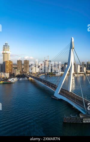 Lo skyline di Rotterdam, con il ponte Erasmus sul Nieuwe Maas, Paesi Bassi Foto Stock