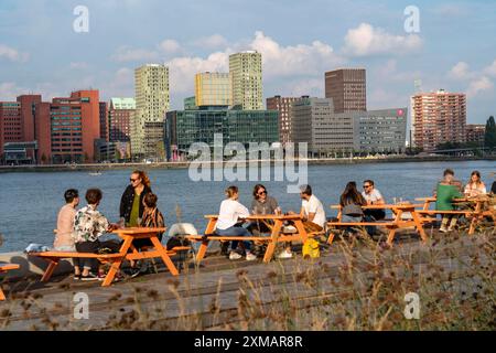 Vista dello skyline di Rotterdam, dalla Fenix Food Factory, dal mercato e dai ristoranti, sul Nieuwe Maas, sul fiume, sui grattacieli del furgone Kop Foto Stock