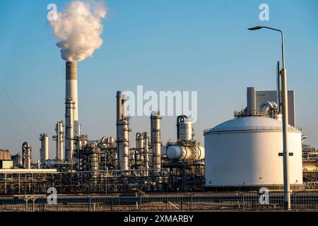 Lyondell Chemical Netherlands BV, stabilimento chimico, impresa comune tra LyondellBasell e Covestro, il più grande stabilimento del settore nel mondo, produce Foto Stock