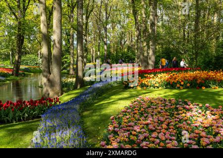 Keukenhof, giardini, parco divertimenti, parco primaverile, mostra di fiori primaverili, vicino a Lisse, Olanda meridionale, Paesi Bassi, tulipani, narcisi e spettacolo di Giacinto Foto Stock