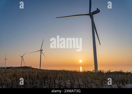 Parco eolico ENECO sulla diga intorno al porto Maasvlakte 2, 22 turbine eoliche con una capacità di 116 megawatt, tramonto, Rotterdam, Paesi Bassi Foto Stock