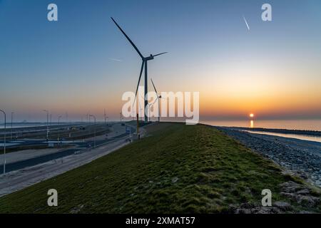 Parco eolico ENECO sulla diga intorno al porto Maasvlakte 2, 22 turbine eoliche con una capacità di 116 megawatt, tramonto, Rotterdam, Paesi Bassi Foto Stock